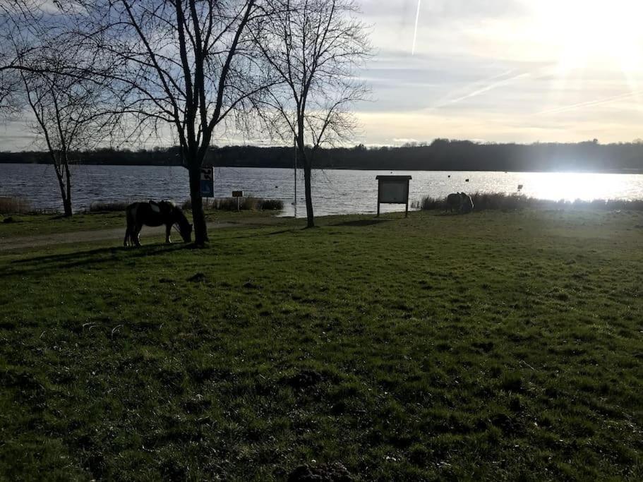 Gite A La Campagne Au Bord D'Un Lac 8 Personnes Saint-Quentin-sur-Charente Luaran gambar